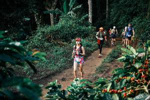 BIB: 
                            <button type="button" onclick="openModal(25824449)" class="btn btn-primary btn-sm float-right btn-popup" data-toggle="modal" data-target=".modal-high-quality">
                        <i class="fas fa-shopping-cart"></i> Add to Cart
                    </button>
                                            <button type="button" onclick="isThisMe(25824449, true)" class="btn btn-success btn-sm float-right btn-popup btn-isme hidden" data-toggle="tooltip" data-placement="bottom" title="นี่คือรูปของคุณใช่ไหม คลิกที่นี่เพื่อเอาเข้าอัลบั้ม">
                        <i class="fas fa-plus"></i> Add to album
                    </button>
                    <button type="button" onclick="isThisMe(25824449, false)" class="btn btn-warning btn-sm float-right btn-popup btn-isnotme hidden">
                        <i class="fas fa-ban"></i> Remove from album
                    </button>